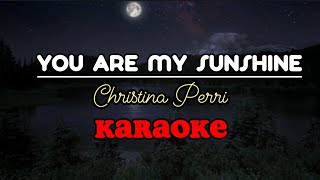 YOU ARE MY SUNSHINE  Christina Perri karaoke [upl. by Atsuj]