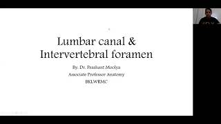 Intervertebral foramen and Lumbar canal anatomy for Endoscopic transforaminal approach [upl. by Rednasyl]