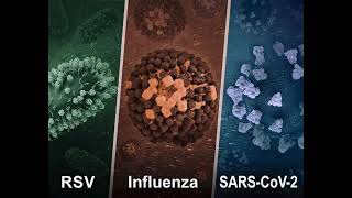 Developing mucosal vaccines for respiratory viruses [upl. by Itraa407]