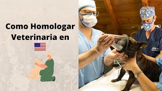 Como Homologar Veterinaria en Estados Unidos [upl. by Essilevi98]