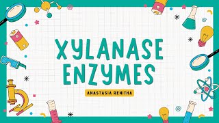 Descriptive Text What’s Xylanase Enzymes [upl. by Attelrahs]