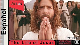 La vida de Jesús  Español  Life of Jesus Gospel of John Official Spanish Full HD Movie HD [upl. by Bitthia]