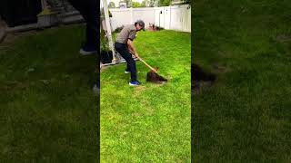 The Most Effective Way to Eliminate Moles in Your Yard [upl. by Shenan904]