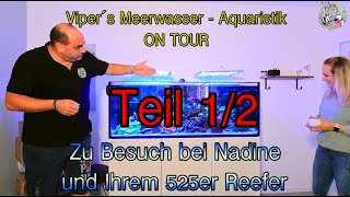 Viper´s Meerwasser Aquaristik ON TOUR zu Gast bei Nadine Teil 1 [upl. by Quintus]