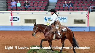 2017 AQHA Senior Ranch Riding [upl. by Odlaumor370]