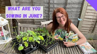 What To Sow In June  Allotment Gardening For Beginners UK [upl. by Sairacaz]