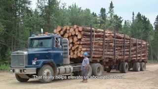 The Forestry Industry in Atlantic Canada [upl. by O'Mahony]