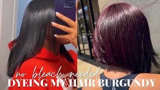 HOW TO dyeing my hair from BLACK to BURGUNDY  no bleach needed  new haircut debut [upl. by Mullen959]