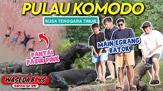 WASEDABOYS EXPLORE NTT PULAU KOMODO PINK BEACH MAIN EGRANG BATOK DLL  INDONESIA TRIP [upl. by Inness]