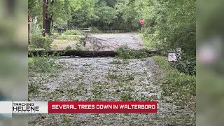 Several trees down in Walterboro after Helene moves through [upl. by Kcod]