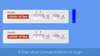 How to use iHealth COVID19 Antigen Rapid Test Kit Step 5  Read your results at 15 mins [upl. by Aihcela933]