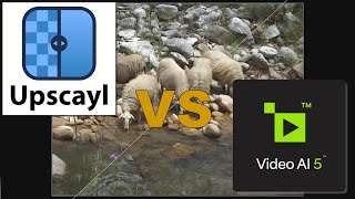 KI Upscayl vs TOPAZ Video AI Ohne Filter [upl. by Basset]