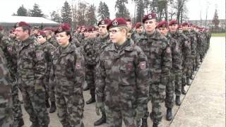 Slovesnost ob dnevu 1 Brigade Slovenske vojske [upl. by Hayotal]