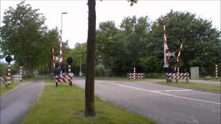 Mechanische overwegbellen compilatieMechanical railroad crossing bells compilation [upl. by Maighdlin]