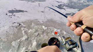 AMAZING Day Ice Fishing for all kinds of Fish  Multi Species Ice Fishing with Angler X [upl. by Filipe]