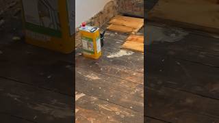 Sika WOODWORM treatment application to timber [upl. by Jasisa152]