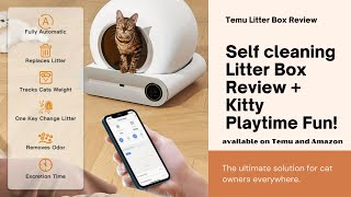 Temu SelfCleaning Cat Litter Box Review  Bonus Kitty Playtime Fun [upl. by Adaj420]