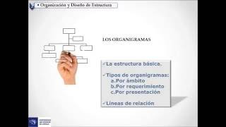 Modelo de Organograma  Como fazer organograma funcional [upl. by Yankee]