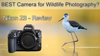 Canon 7D Mark II Wildlife Photography  How to Click Super Sharp Photos [upl. by Asilenna]