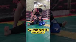 ТРЕНЕР ТАЙСОНА СИЛЬНО МУЧАЕТЬ😱 [upl. by Nichola]