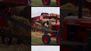 HaddenhamSteamRally HeavyHorseShow TheFens [upl. by Araj224]