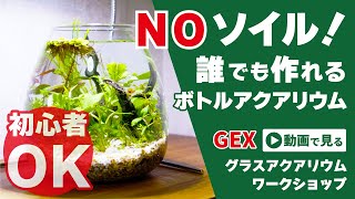 【アクアリウム】ソイルを使わない？初心者にもオススメなボトルアクアリウムの作り方！GEXグラスアクアリウムワークショップに参加してみた！ アクアリウム ボトルアクアリウム [upl. by Yate6]