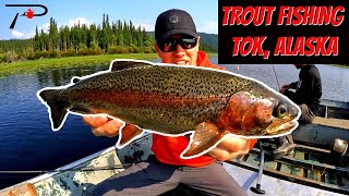 Trout Fishing Tok  Alaska [upl. by Lig]