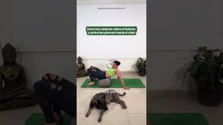 Si tus piernas están cansadas por estar mucho tiempo de pie este video es para ti yoga yogaposes [upl. by Aztirak]