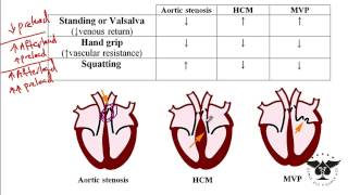 Heart murmur Aortic Stenosis Hypertrophic cardiomyopathy and etc USMLE STEP 1 [upl. by Marquis]