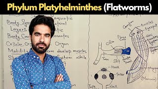 Phylum Platyhelminthes  Flatworms General Characteristics [upl. by Donavon919]