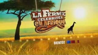 Vidéo la ferme célébrités 3 en afrique  Lautruche [upl. by Tacita582]