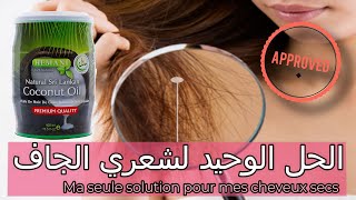 تجربتي مع زيت جوز الهند في الشعر الجاف  Mon avis beauté du lhuile de coco sur des cheveux secs [upl. by Ojok633]