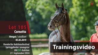 Auktionsfestival Training Lot 105 Cornetto Hengst v Cornet de Semilly  Stakkato Gold [upl. by Medarda492]