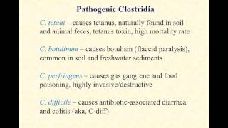 BIO2020 Episode 027 the clostridia [upl. by Descombes345]