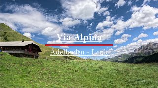 Hiking the Via Alpina 15 Adelboden  Lenk Switzerland 4k [upl. by Jenette]