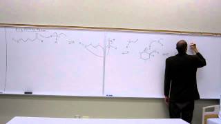 Mechanism of Intramolecular Acetal Formation  Ring forming acetal reaction 001 [upl. by Dinnie]