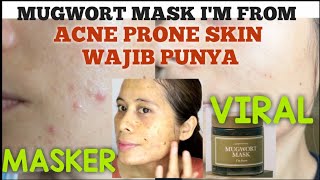 MASK IM FROM MUGWORT  IM FROM REVIEW  IM FROM MUGWORT MASK REVIEW INDONESIA [upl. by Eilrebmik]