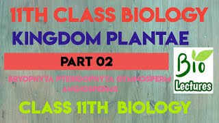 Kingdom Plantae part02 For class 11th Biology [upl. by Lanod909]