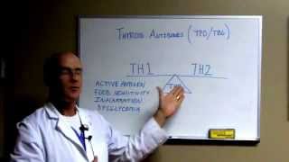 Thyroid Treatment Success Secrets 3 quotThyroid Antibodiesquot [upl. by Stearns]