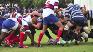 St Albans College 1st XV Rugby Tribute 2013 [upl. by Anaillil]