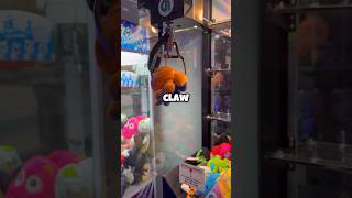 Reversible Octopus STUCK Inside of the Claw Machine 🐙 shorts arcade clawmachine [upl. by Naleek655]