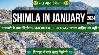 Shimla in January  shimla weather in January  snowfall  snow  shimla snowfall 2024 [upl. by Sinnek810]