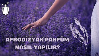 Afrodizyak Parfüm Nasıl Yapılır  Evde Kolay Parfüm Yapımı AFRODİZYAK PARFÜM [upl. by Magdaia]