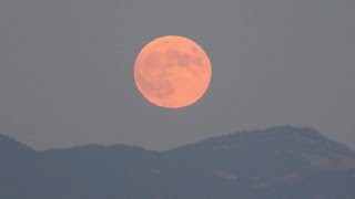 Le magnifiche immagini delleclissi parziale di Luna nei cieli italiani [upl. by Cosimo]