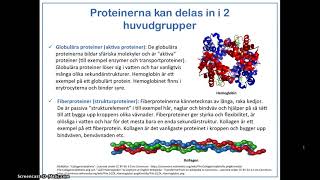 Kortfilm  Proteinernas uppbyggnad funktion och indelning [upl. by Noyart29]