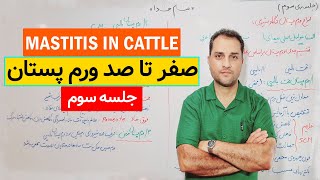 All about mastitis types of mastitis in dairy cows [upl. by Edrahc980]