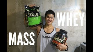 WHEY PROTEIN or MASS GAINER Tips for Beginner [upl. by Yuji240]