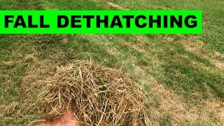 How to dethatch your lawn with a power rake [upl. by Iseabal]