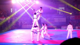 KUKKIWON Demonstration Team at 7th Asian Junior Taekwondo Championship 2013  INDONESIA [upl. by Bohner]