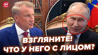 😮Путин аж умолк Чиновник высказал всё ему прямо в лицо Реакция бункерного рвёт сеть NEXTALive [upl. by Deehan]